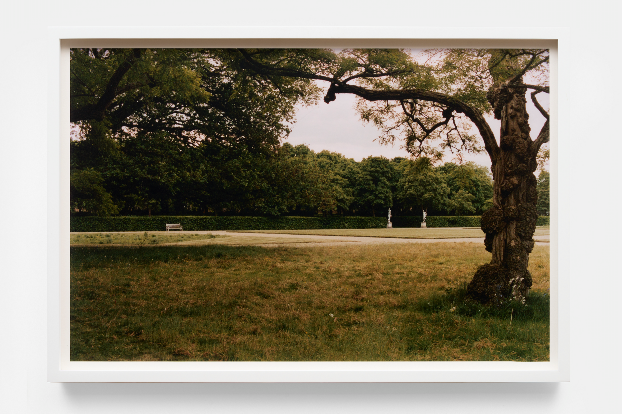 Billal Taright “Untitled (Robert Adam)”