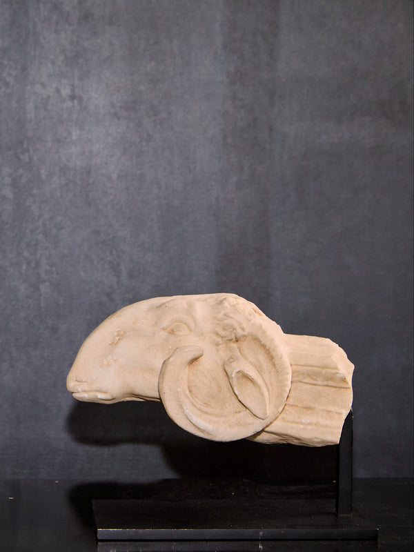 A marble Roman ram's head